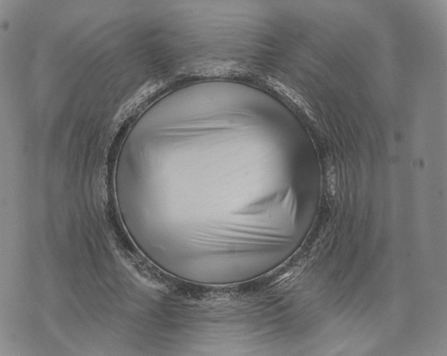 X0000076260682200610191714