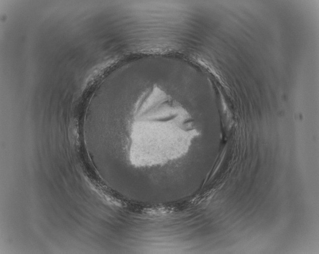 X0000076260688200610191714