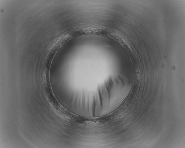 X0000076260690200610191714