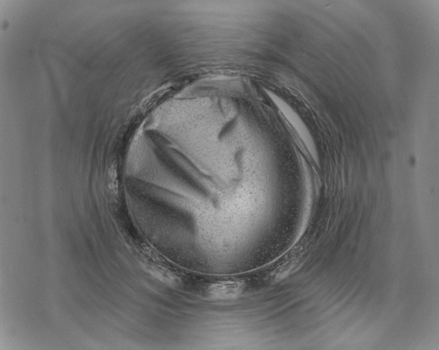 X0000076260700200610191714