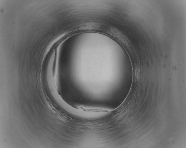 X0000076260724200610191713