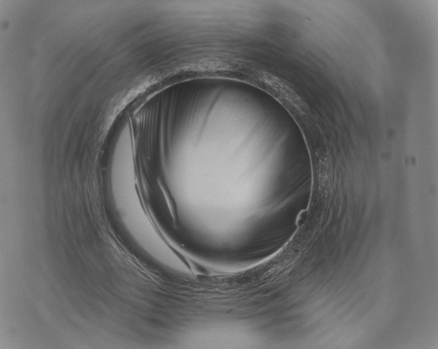 X0000076260727200610191713