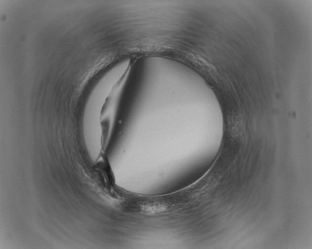 X0000076260735200610191713