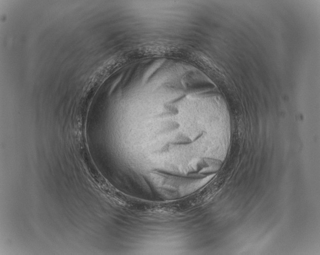 X0000076260737200610191713