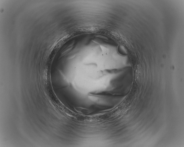 X0000076260739200610191713