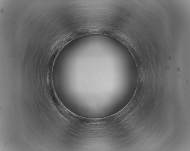 X0000076260740200610191713
