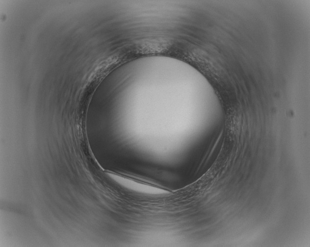 X0000076260743200610191713