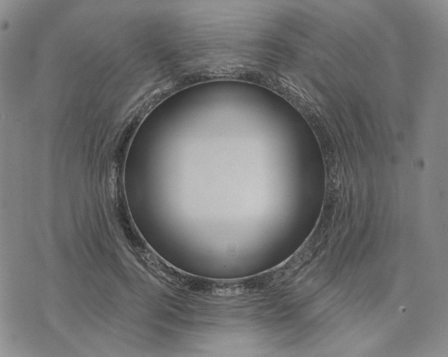X0000076260744200610191713