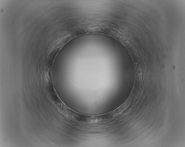 X0000076260746200610191713