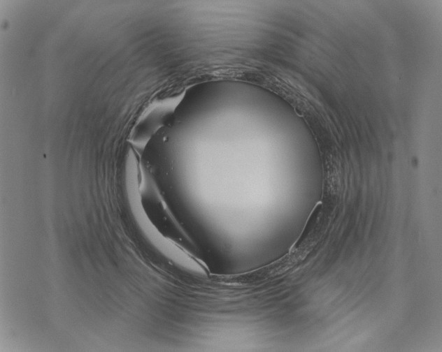 X0000076260748200610191713