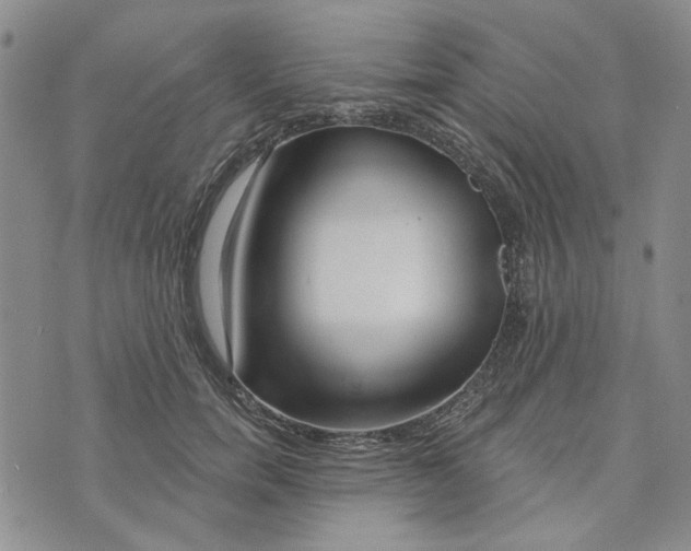 X0000076260750200610191714