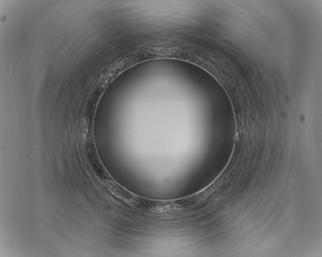 X0000076260752200610191714