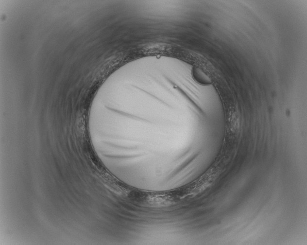 X0000076260753200610191714