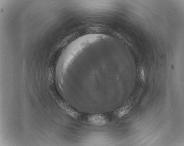 X0000076260759200610191714