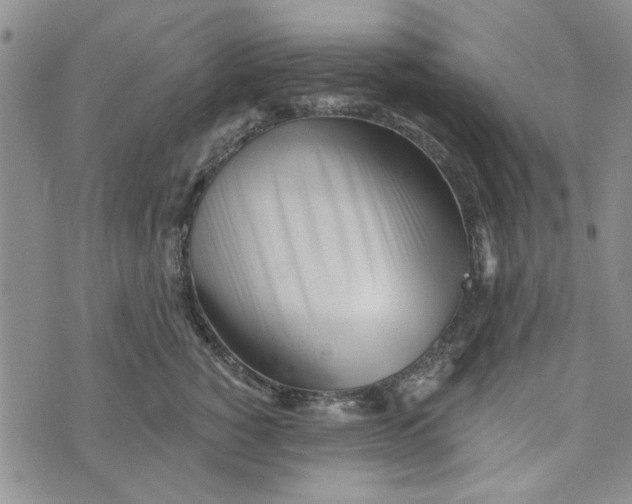 X0000076260760200610191714