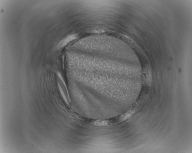 X0000076260762200610191714