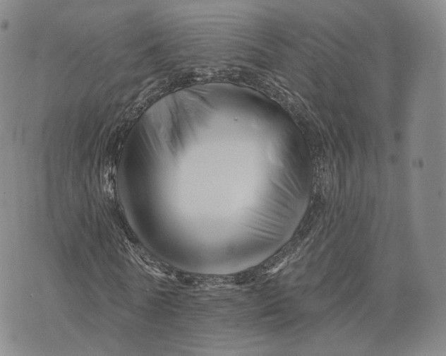 X0000076260770200610191713