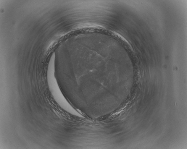 X0000076260775200610191713