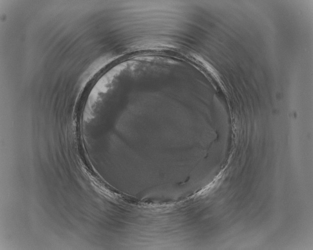 X0000076260779200610191713