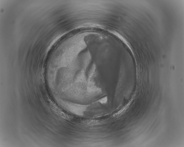 X0000076260783200610191713