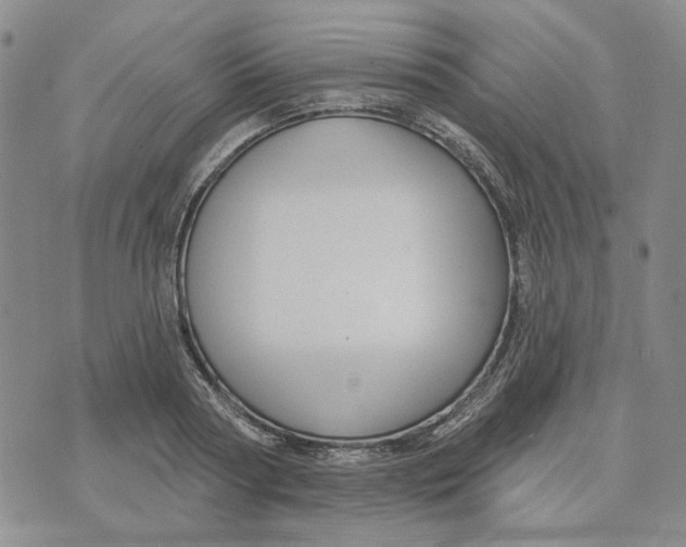 X0000076260794200610191713