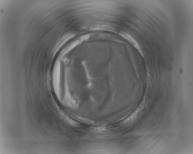 X0000076260798200610191713