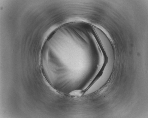 X0000076260815200610191712