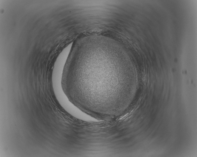X0000076260818200610191711