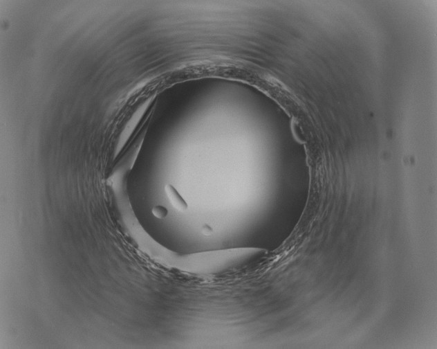 X0000076260822200610191712