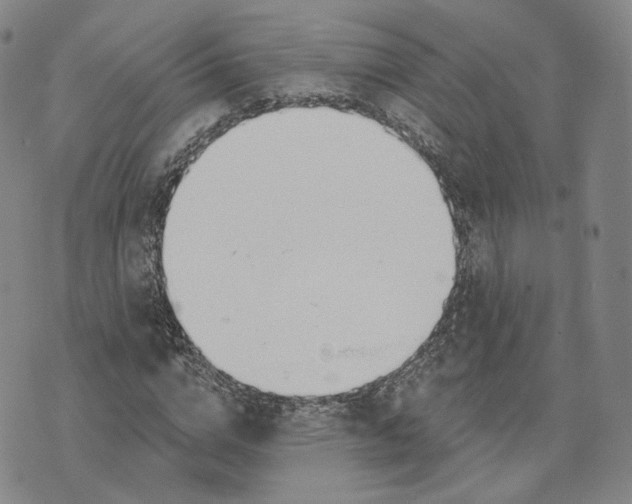 X0000076260824200610191712