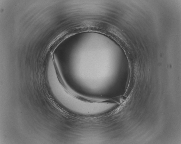 X0000076260826200610191712