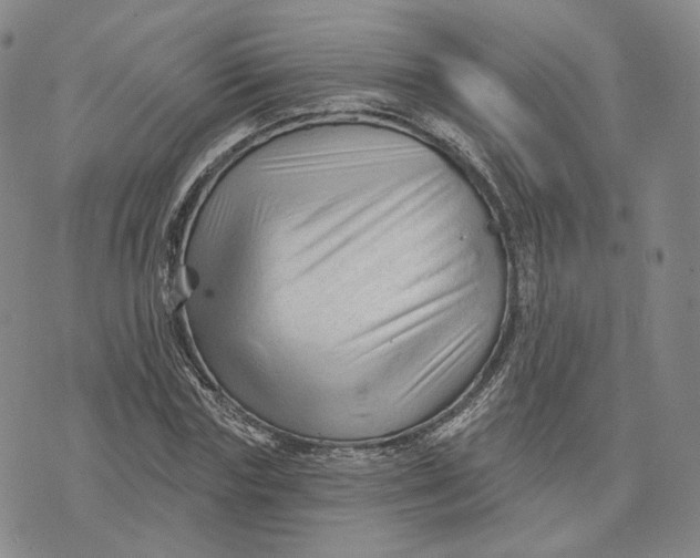 X0000076260827200610191712