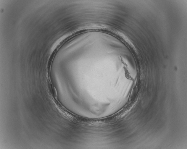 X0000076260837200610191712