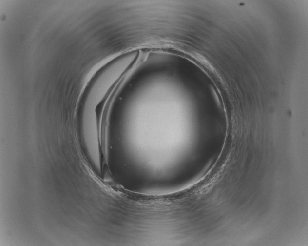 X0000076260838200610191712