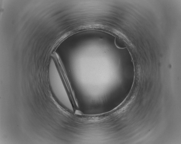 X0000076260841200610191712