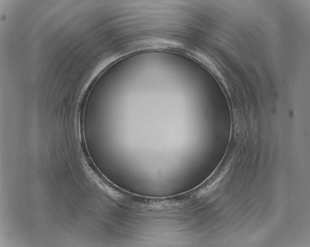 X0000076260843200610191712