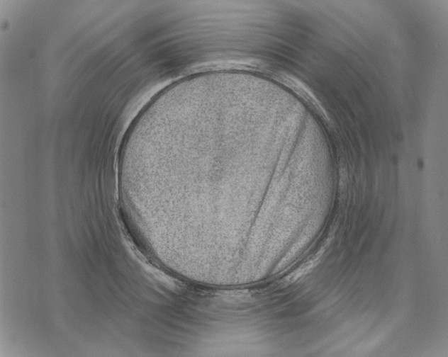 X0000076260844200610191712