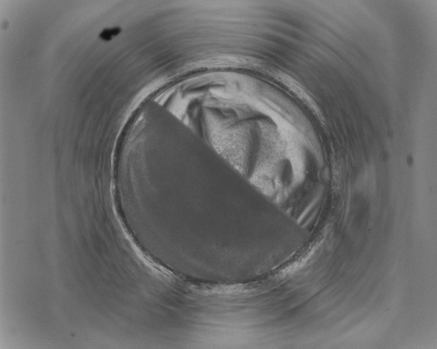 X0000076260845200610191712