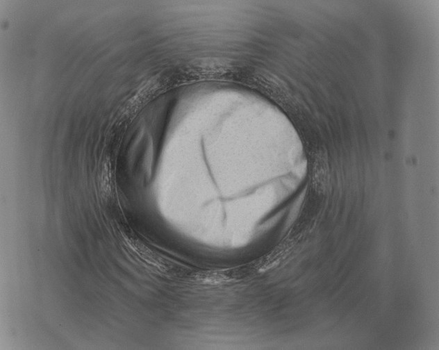 X0000076260866200610191711
