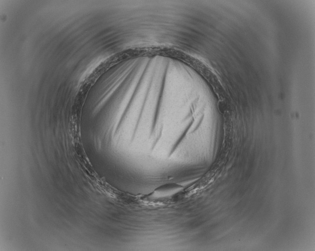 X0000076260871200610191711