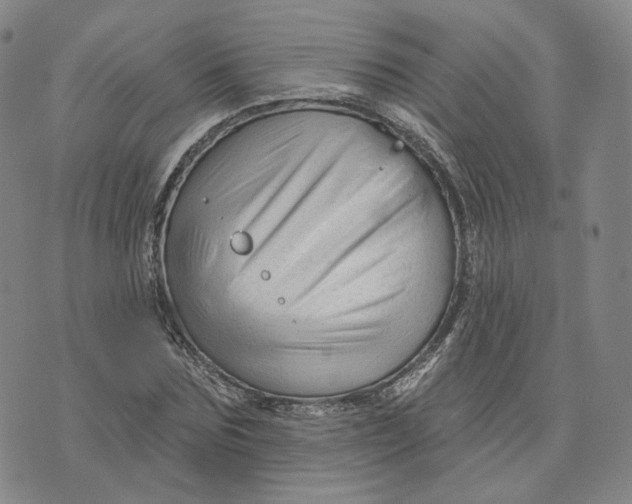 X0000076260875200610191711