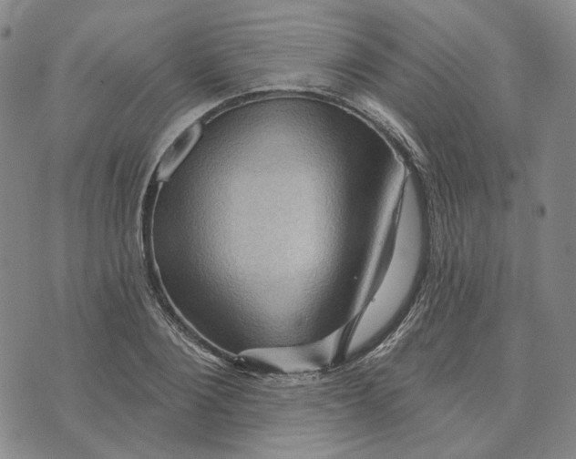 X0000076260884200610191711