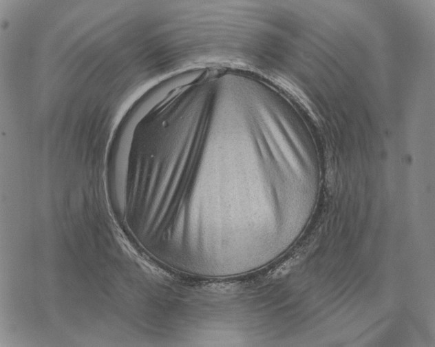 X0000076260888200610191711