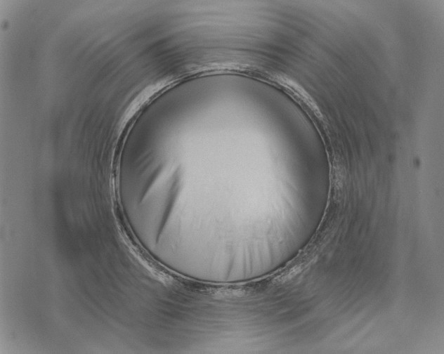X0000076260890200610191711
