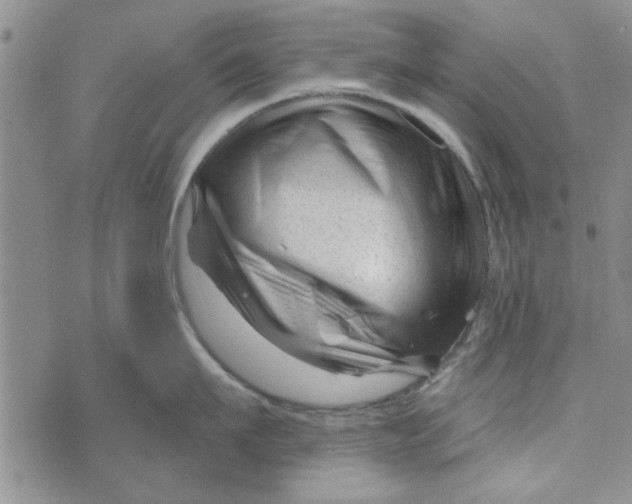 X0000076260911200610191711