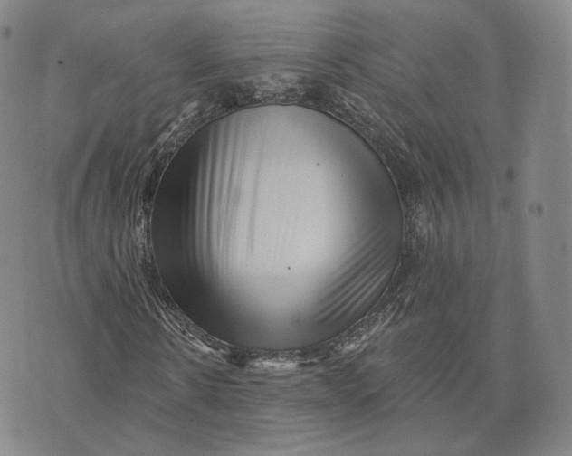 X0000076260914200610191710
