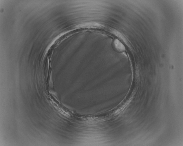 X0000076260923200610191710