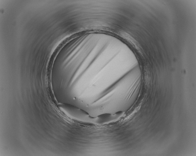 X0000076260924200610191710