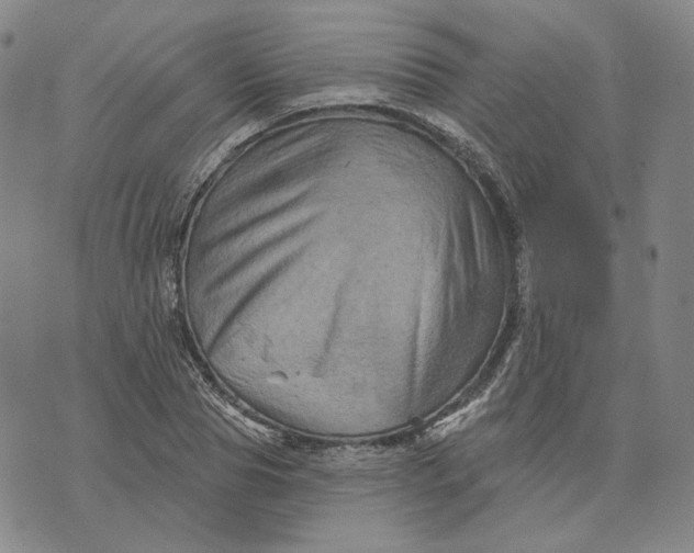 X0000076260929200610191710