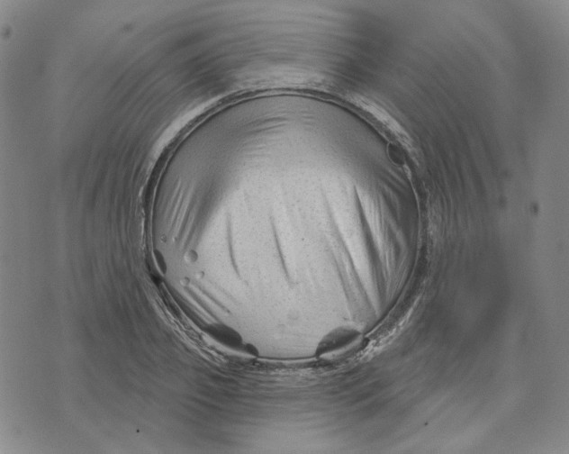 X0000076260933200610191710